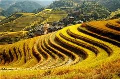 Longji Longji