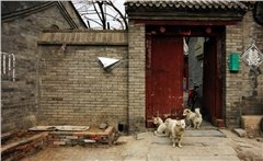 Hutong Hutong