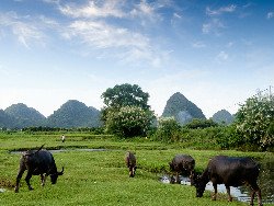 Yangshuo Yangshuo