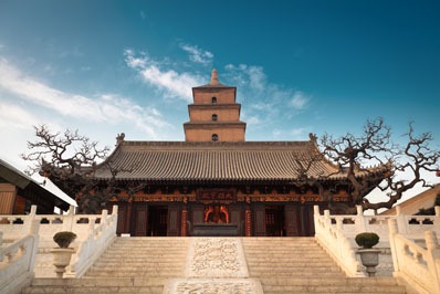 Xi'an pagoda oca selvaggia
