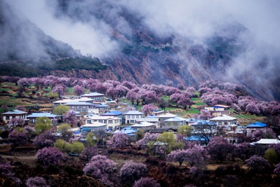 Tibet