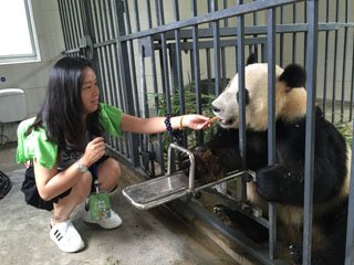panda keeper