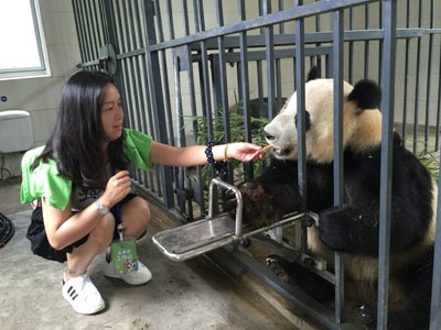 volontariato di panda a Dujiangyan