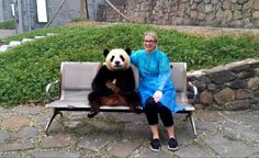 Dujiangyan Base per il programma Panda Keeper