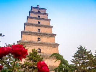 grande pagoda dell'oca selvatica