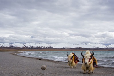 Lago Namtso