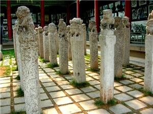 Museo della foresta di stele